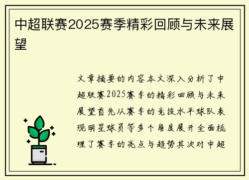 中超联赛2025赛季精彩回顾与未来展望